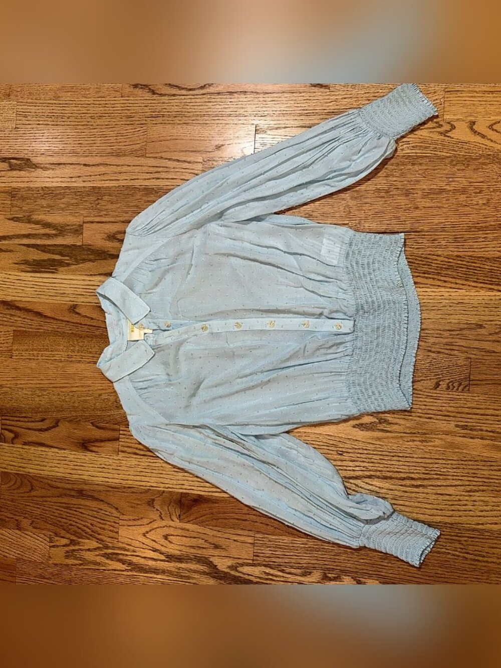 Maeve Anthropologie Light Blue Swiss Dot Blouse Smocked Waist Size S